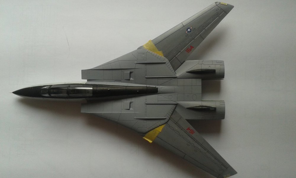 2009903585_F-14Model4.thumb.jpg.0c6f971509dcfebd038765eaaa506808.jpg