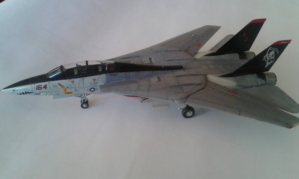 703856498_F-14Model2.thumb.jpg.096f55c6d5f57e8184b6e9a2e600f8f8.jpg