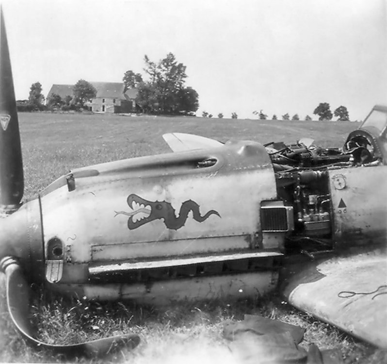 Messerschmitt-Bf-109E-I.JG3-after-force-landing-01.jpg