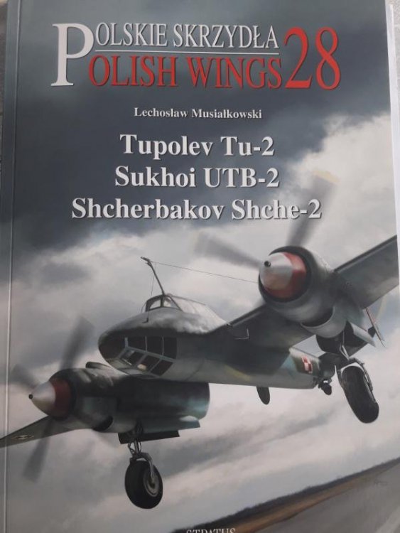 tu2_polish wings.jpg