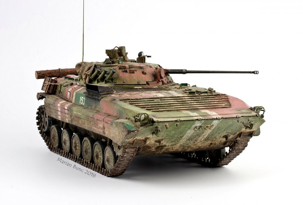 1324916692_Ukraina.BMP-2.model(56).thumb.jpg.7704bf1b2df8ab3cd22003024ea9ca69.jpg
