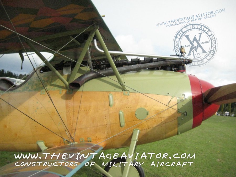 albatros_dva-walkaround-047.jpg.bf9258c510cd7e33be207c7f6b94964b.jpg