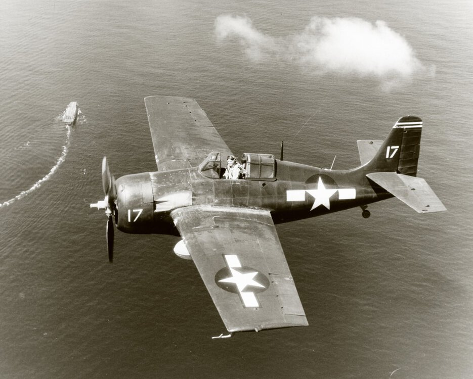 FM-2-Wildcat-VF-26-White-17-is-in-flight-off-Leyte-PI-CVE-29-USS-Santee-20th-Oct-1944-80-G-287594.thumb.jpg.18b91f3e3c7b1182066a642e89b0b637.jpg