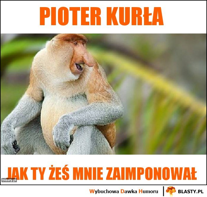 pioter-kurla_2020-01-18_19-37-51.jpg.7e826b8512f3bcc46d12a3ee2f842e10.jpg