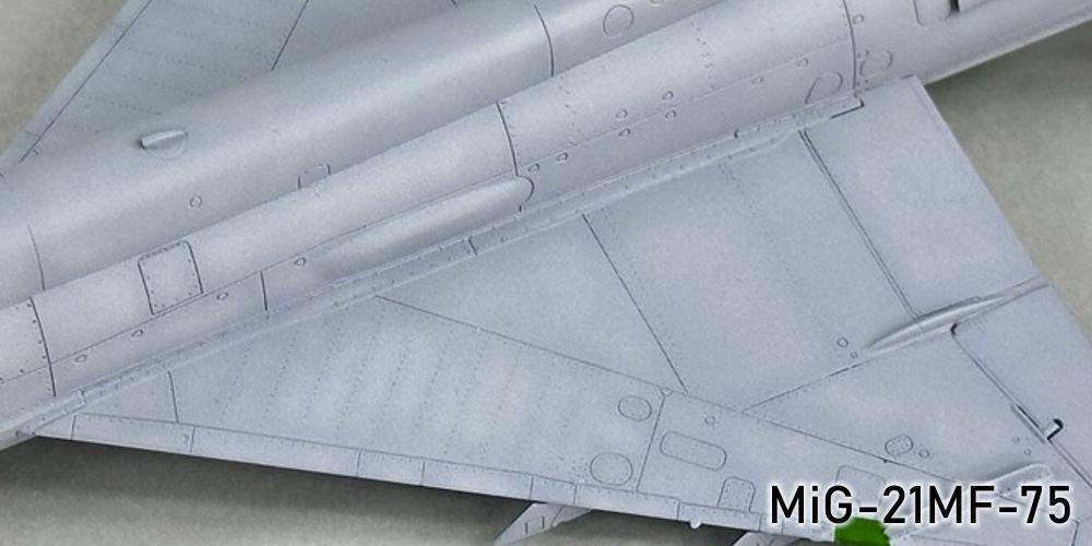 1206619519_MiG-21MF-75037r.jpg.31524fa3066ffb616531b0b6ec0d2b84.jpg