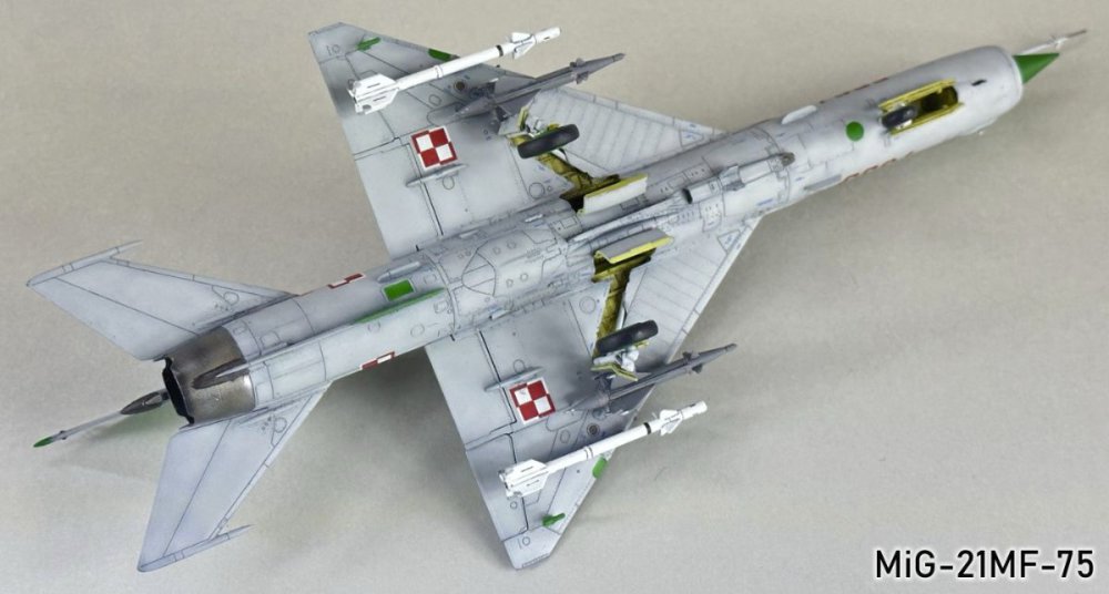 1501438716_MiG-21MF-75110g.thumb.jpg.73aed90bde989f88809f33d4164cf0f5.jpg