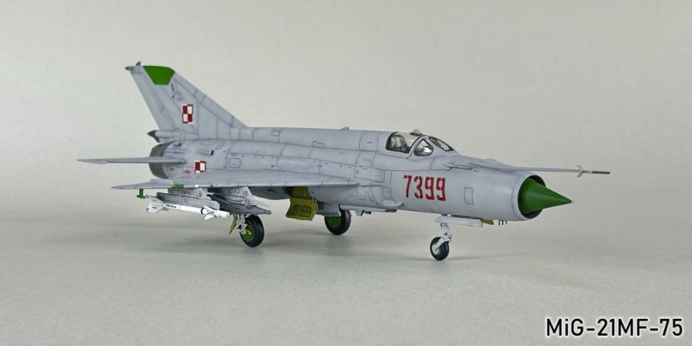 1646931931_MiG-21MF-75107g.thumb.jpg.cc38c236af4d2fb0f3d2096617d2caca.jpg