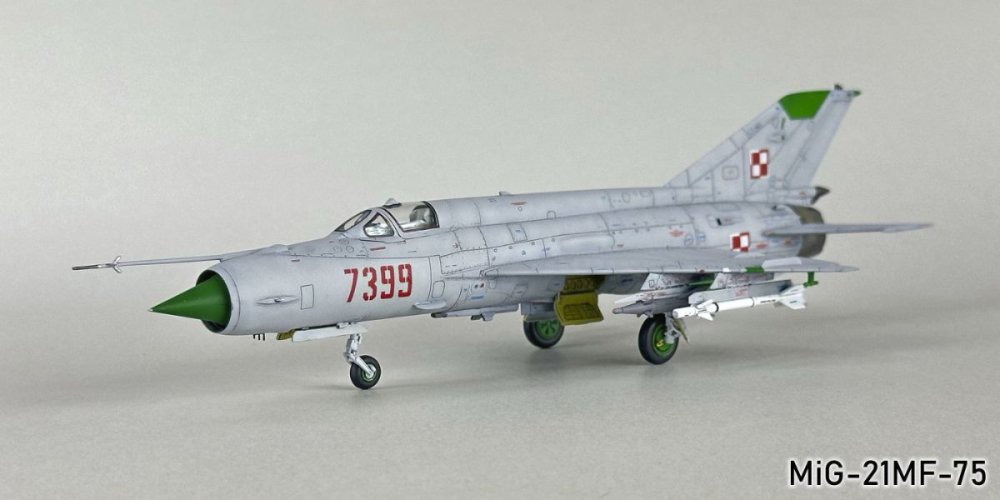 1651655830_MiG-21MF-75102g.thumb.jpg.0a10119d489261e53be90300c13c1d16.jpg