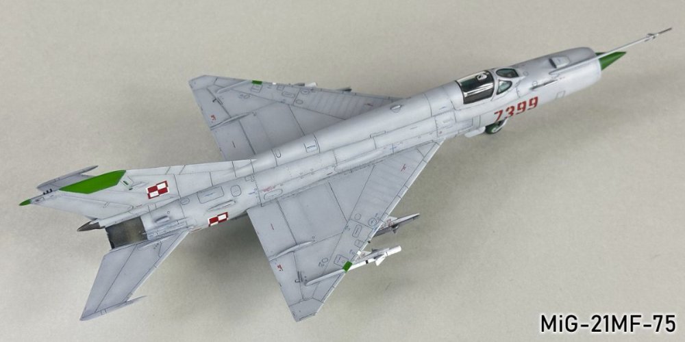 1731168274_MiG-21MF-75109g.thumb.jpg.abe24ed32c98b50b459add9dcd53b317.jpg
