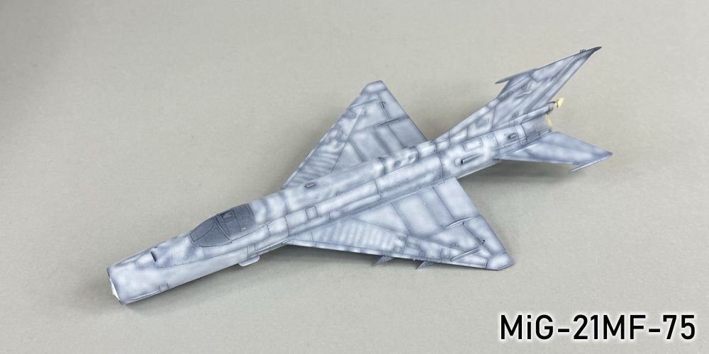 1992458808_MiG-21MF-75029r.jpg.e7651a8c8ba02a244e5bda83d1f63a1f.jpg