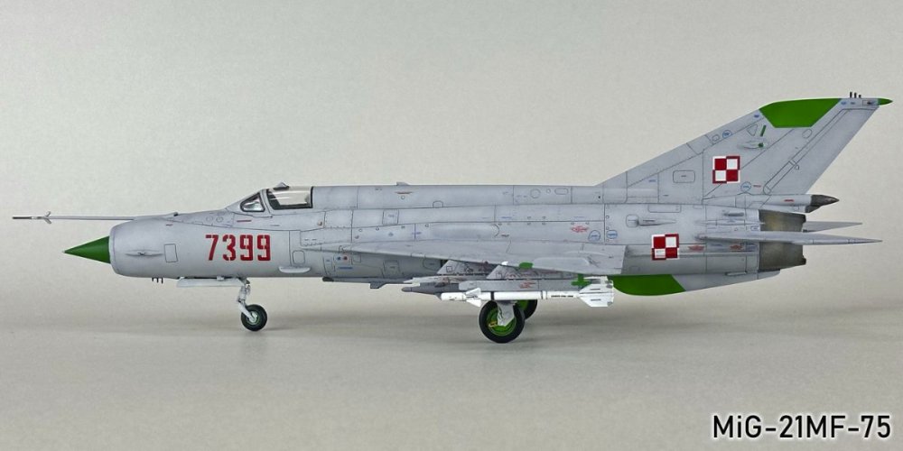 227972269_MiG-21MF-75103g.thumb.jpg.10af30854cf3ddb159dacf3bad7cbddb.jpg