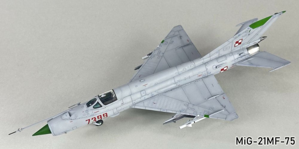 259222297_MiG-21MF-75108g.thumb.jpg.59fa8fbfc84cc4c9f8ec6c8ba49c8a93.jpg