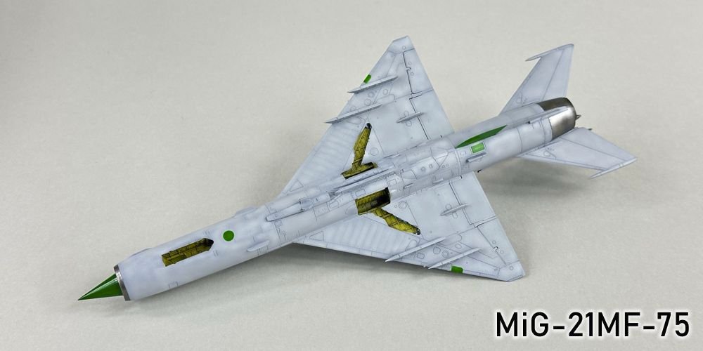 321620778_MiG-21MF-75033r.jpg.9b495a0be60e8c954c7dc886a1369995.jpg
