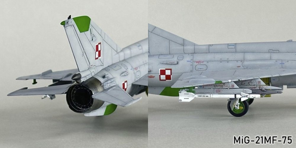39838965_MiG-21MF-75111g.thumb.jpg.cb165223fbaaa4fc4870d2d8d5ce73ad.jpg