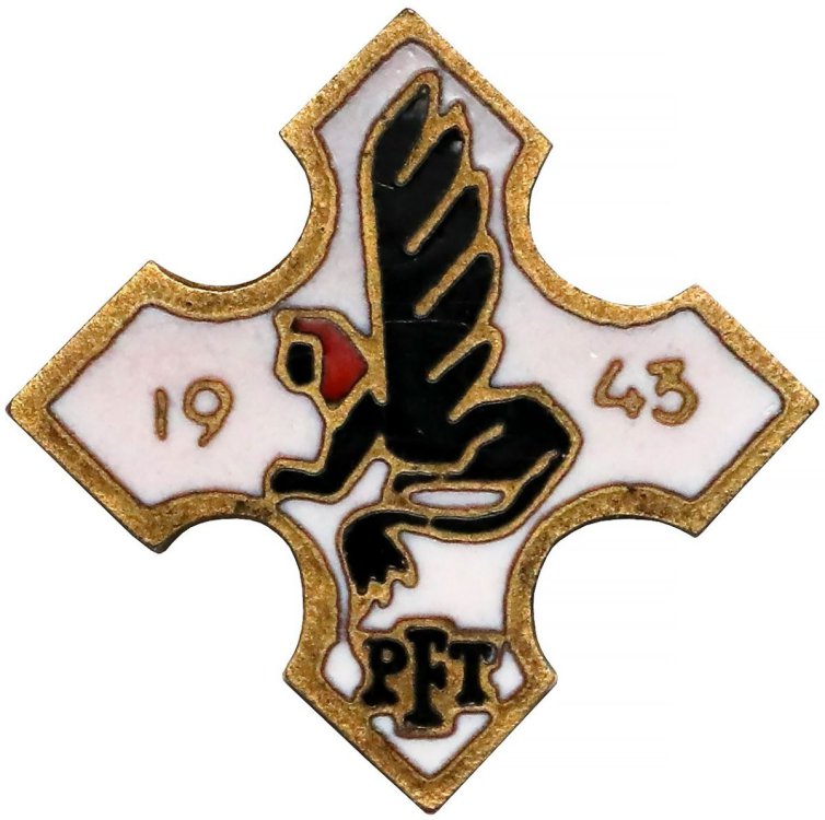 PFT odznaka.jpg