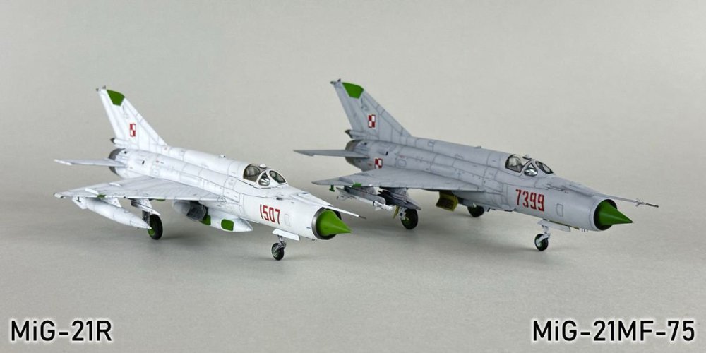1537778892_MiG-21R100g.thumb.jpg.60a062d1aa2a585bf3c5f0eaafa13df9.jpg
