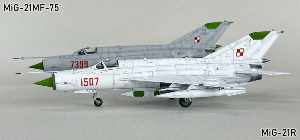 1657404418_MiG-21R140g.thumb.jpg.68ca4215931d8046eea756cf7e08fc54.jpg