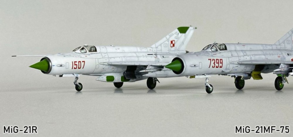 44672197_MiG-21R141g.thumb.jpg.2e5a378dc91833f02114abfe8ce1daf9.jpg