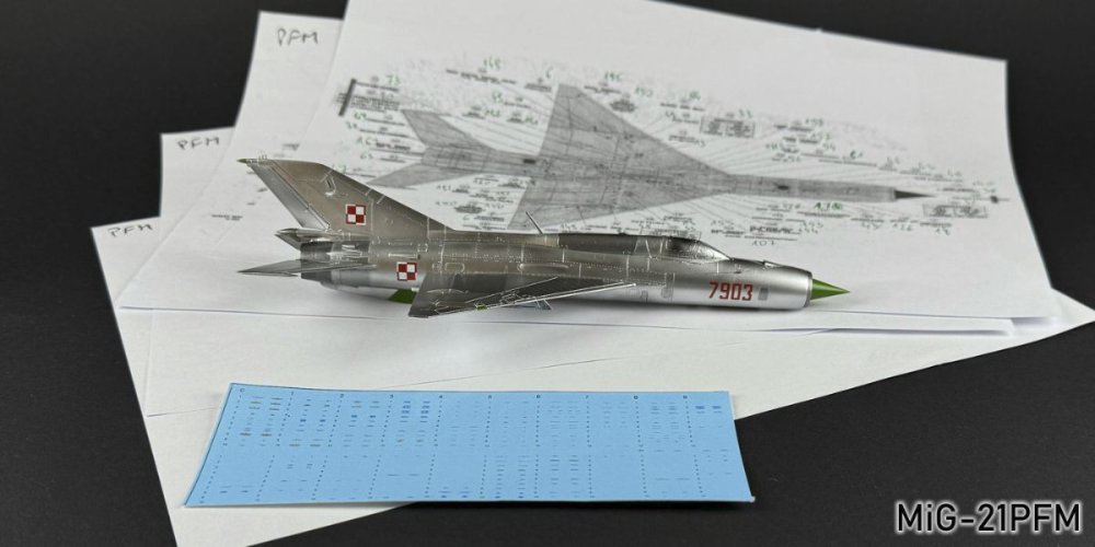 427938301_MiG-21PGM019r.thumb.jpg.49ae8a3994f11579722144232fd7ee40.jpg