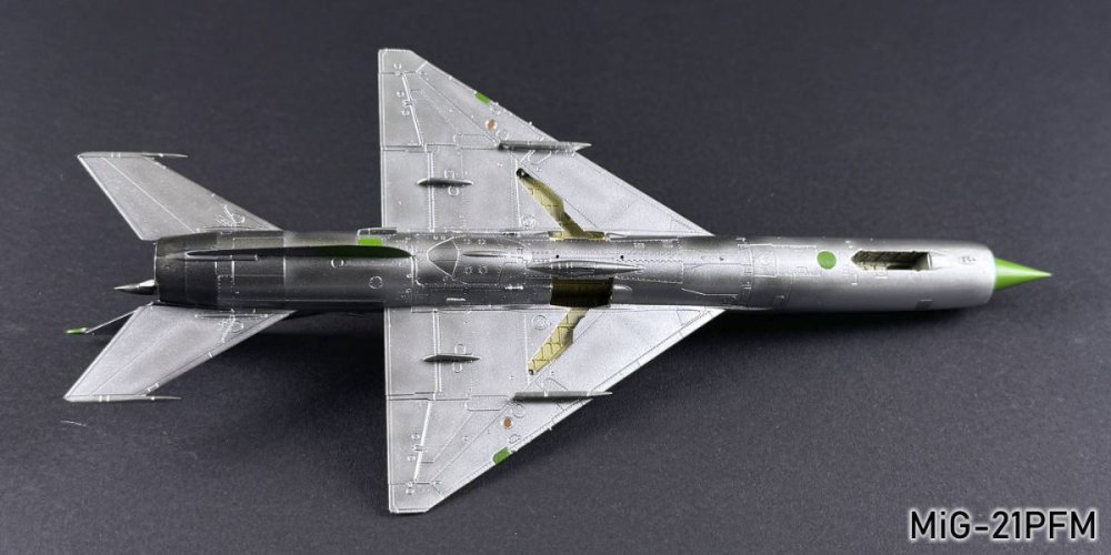 761101643_MiG-21PGM016r.thumb.jpg.a03f106974a47c1bfbd3a31ba2b160e1.jpg