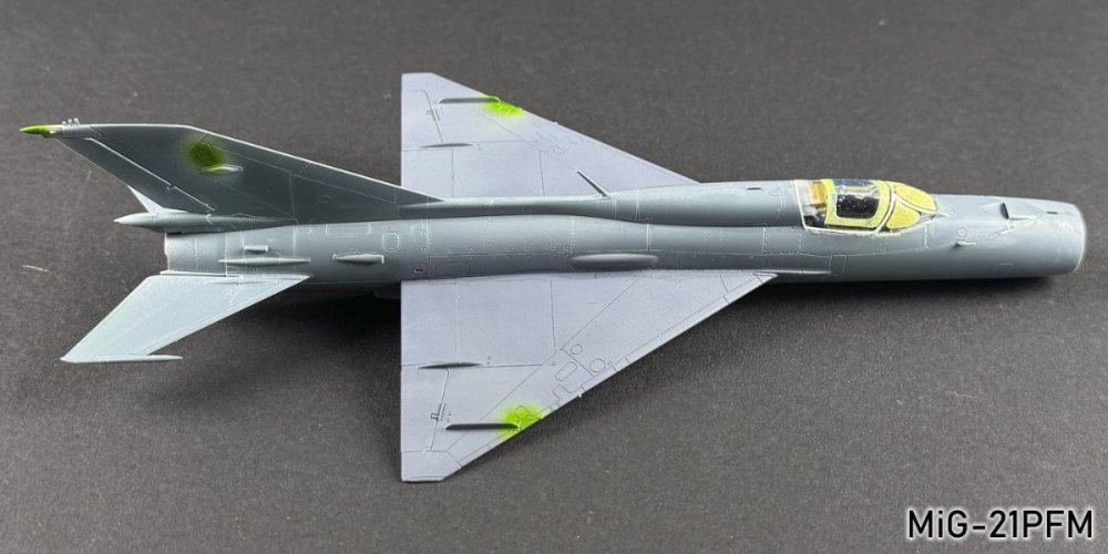 930952886_MiG-21PGM011r.thumb.jpg.ba3b7e14c6c2b642363de5f046d49f4d.jpg