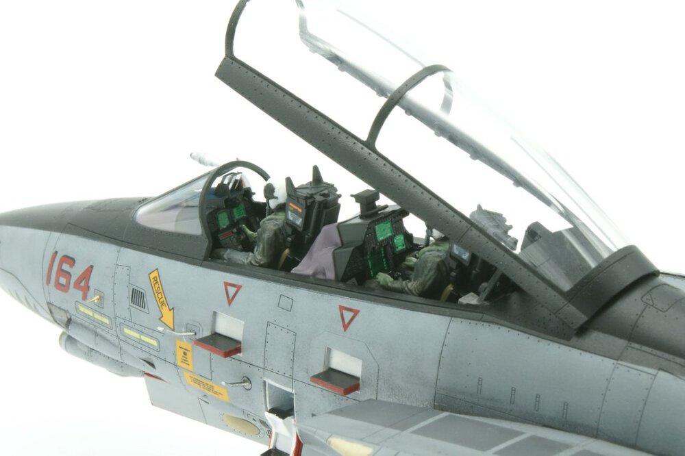 F-14D 08.JPG
