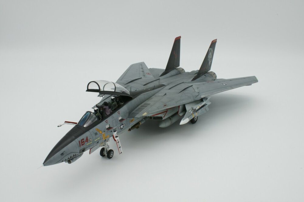 F-14D 05.JPG