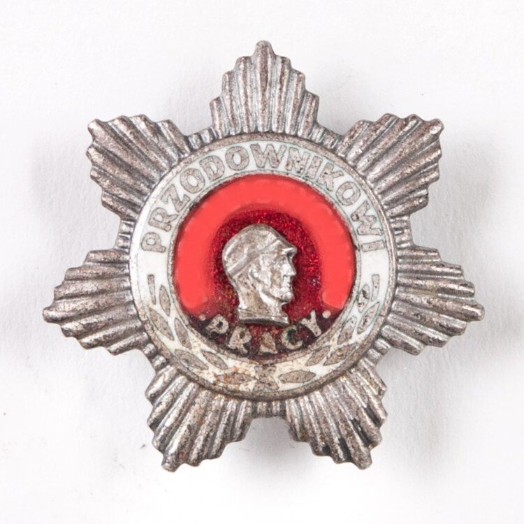 Odznaka Przodownik Pracy Socjalistycznej. Lata 70. XX w-antyki-sosenko-krakow-1-780x780~3.jpg