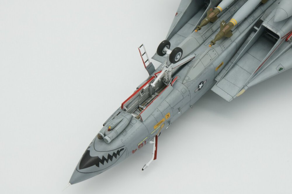 F-14D 14.JPG