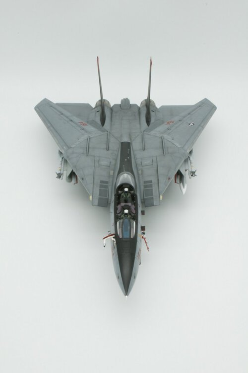 F-14D 03.JPG