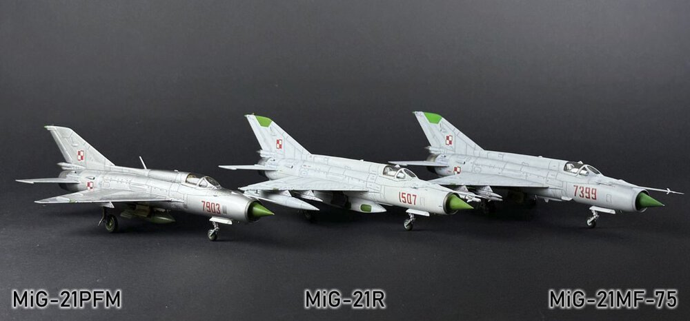 485037242_MiG-21PFM101g.thumb.jpg.117373e1213d90b55d90501a2e7cd639.jpg