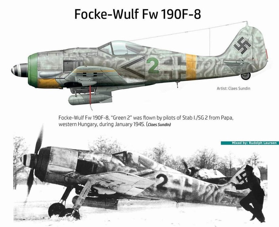 Focke-Wulf-Fw-190F8-Stab-II.SG2-Green-Winkel-2-Papa-Hungary-1944-45-0A.thumb.jpg.9a002103cef7e60d880429d3ebd378b2.jpg