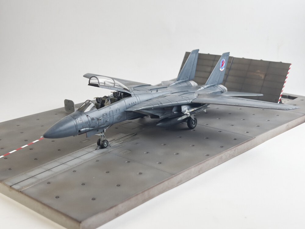 F-14 - final 01.jpg