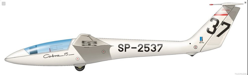 SZD_Cobra_15_livery.thumb.jpg.0339a21312fd9db40f6ae0c8a6772408.jpg