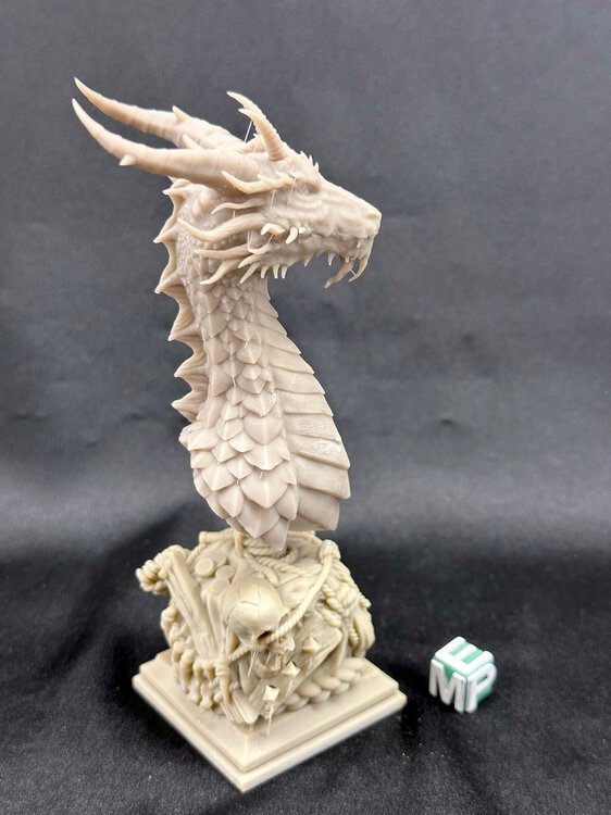 Dragon_Bust_3.jpg