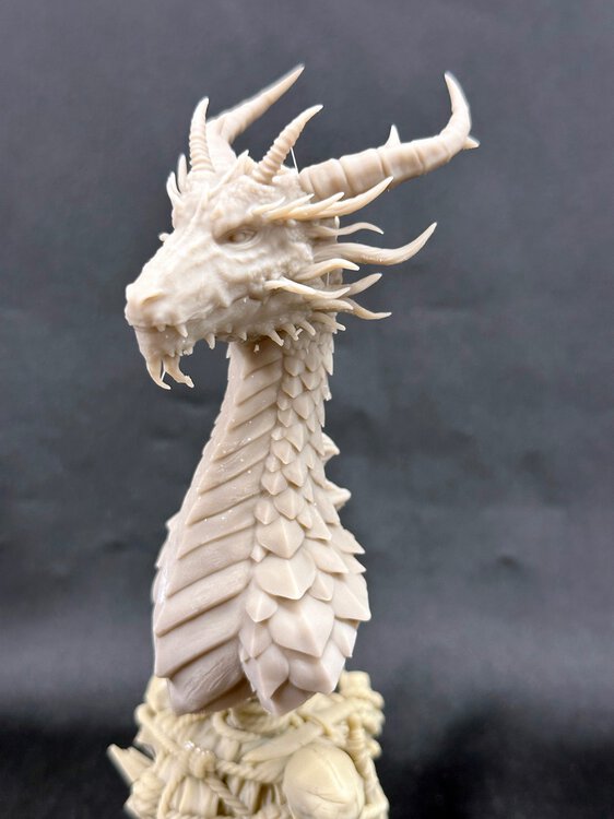 Dragon_Bust_5.jpg