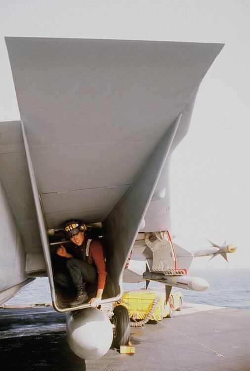 a-plane-captain-inspects-the-left-engine-intake-of-an-f-14a-tomcat-aircraft-6f3b3a-1024.thumb.jpg.7b873f9aceb88e35d4b487b8946d4eb2.jpg