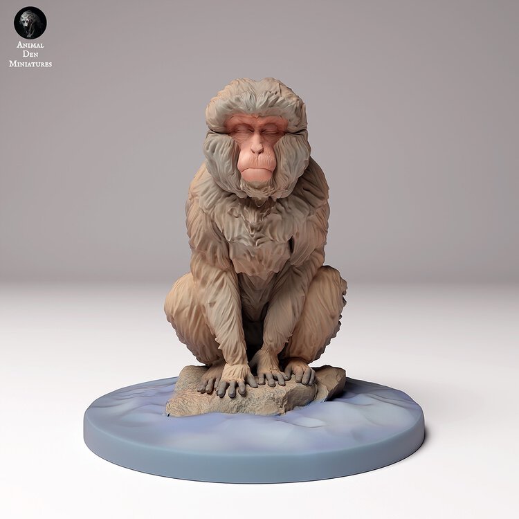 snow_monkey_sitting_4.jpg