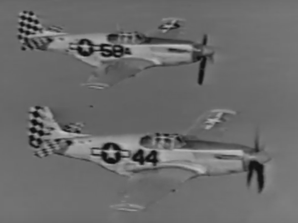 Screenshot 2024-11-29 at 22-54-36 The Lost Images of the 325th Fighter Group The Checkertail Clan.png