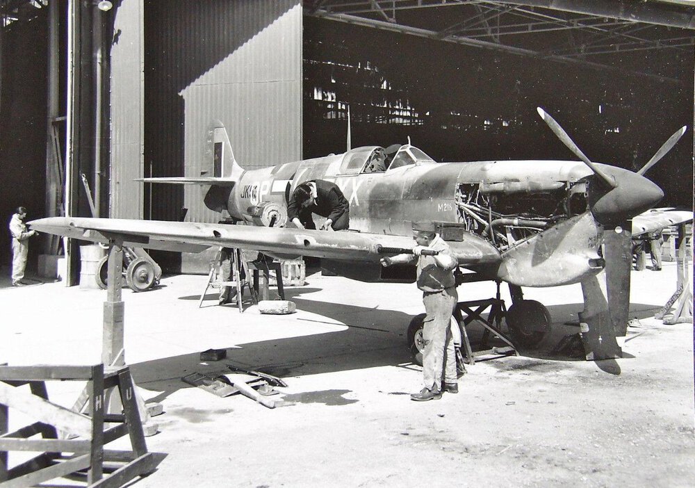 USAAF Spitfire Mk.Vb from the 52nd FG 2nd Sq. The squadron code is QP-XX.jpg