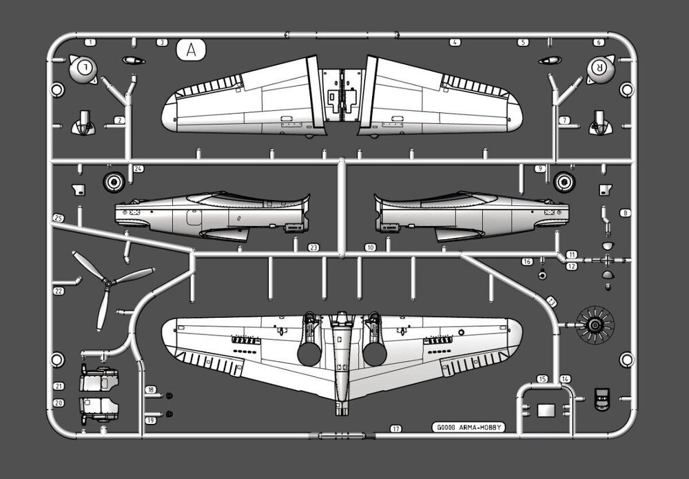 scale_2400 (1).jpg