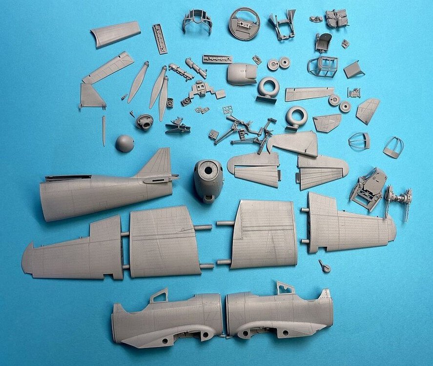 scale_2400 (2).jpg