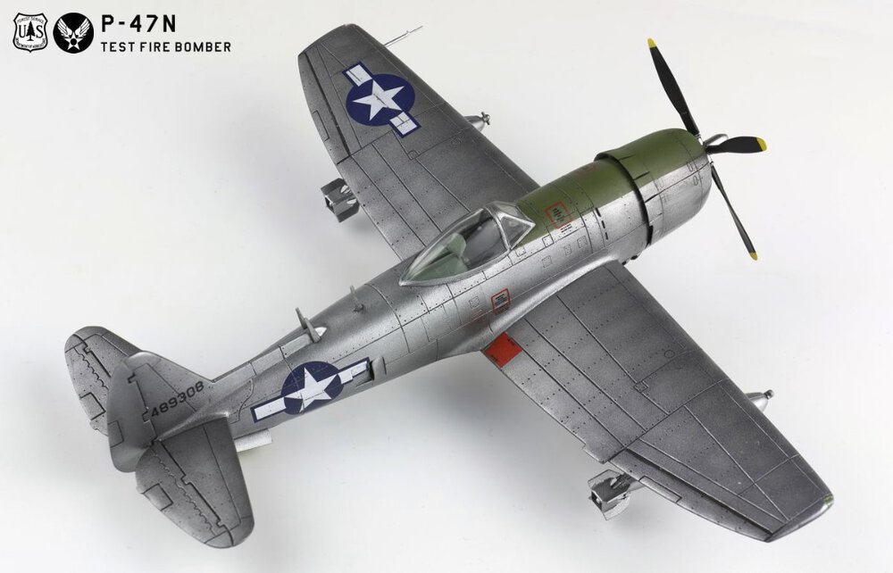 1738921050_p-47n010g.thumb.jpg.c228c9b5914e701640bb8c45ad66fc21.jpg