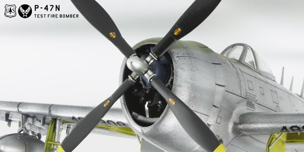 1773927076_p-47n031g.thumb.jpg.384be582420f024b2f512b6bb66b5573.jpg