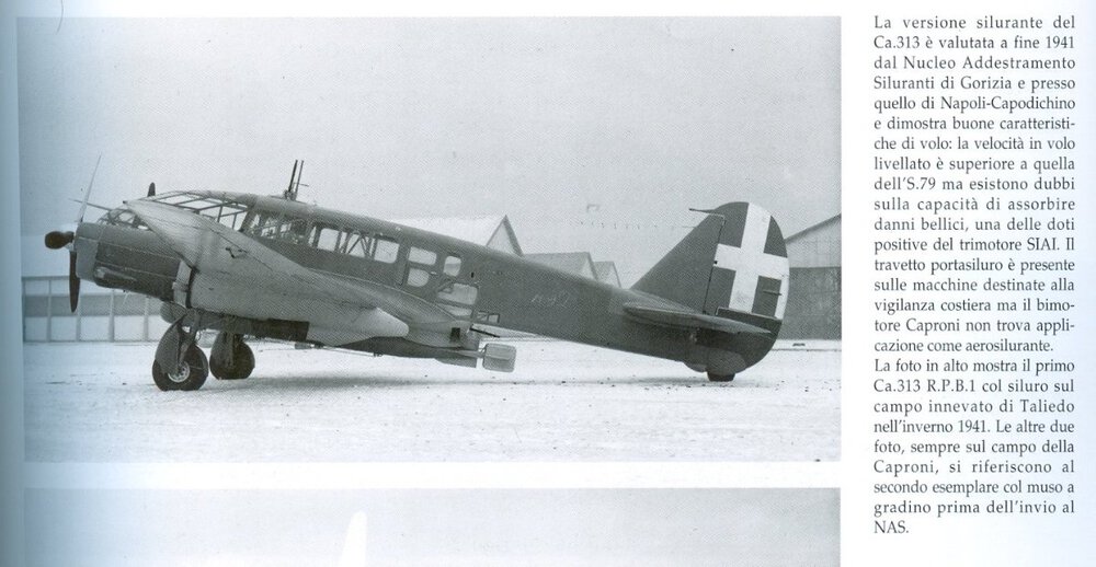 Ca.313 RPB1.jpg