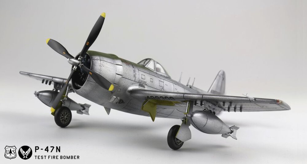 1945351336_p-47n001g.thumb.jpg.da68d241bb6db476cf9f2bc25fb45c07.jpg