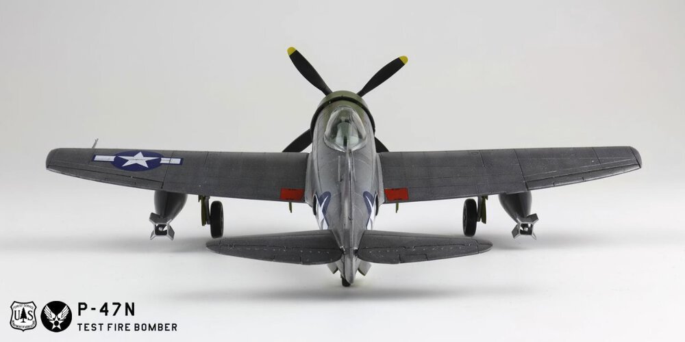 2078613588_p-47n006g.thumb.jpg.5331ed94954bb274742ae9a921e8154f.jpg