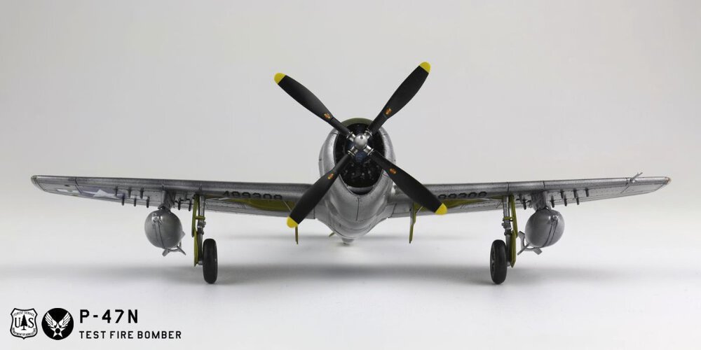 784874210_p-47n002g.thumb.jpg.d9e940de724f0d50cfc3e1e77ed591b2.jpg