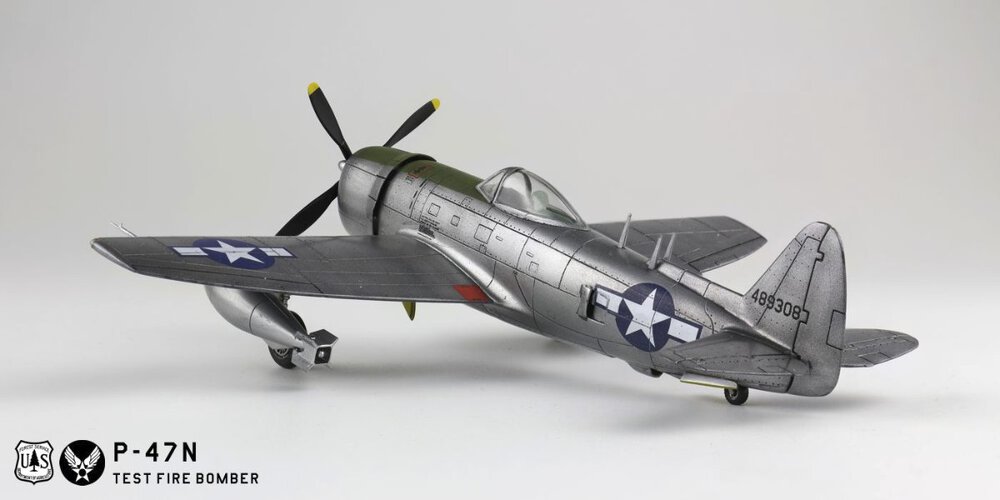 972459510_p-47n007g.thumb.jpg.ffd9c0b4d9ab0641b315e3f5caa4aff0.jpg