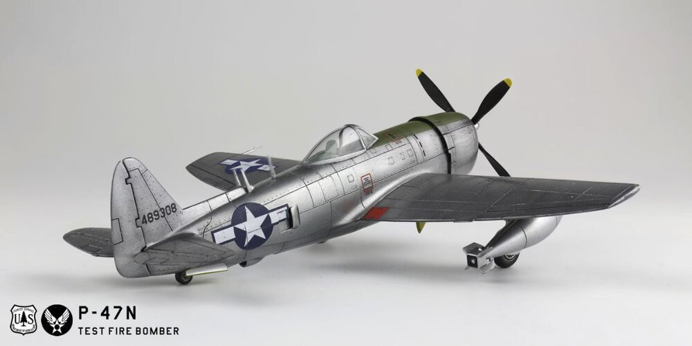 9898588_p-47n005g.thumb.jpg.29b889689785cb5f086052bc292a6d41.jpg